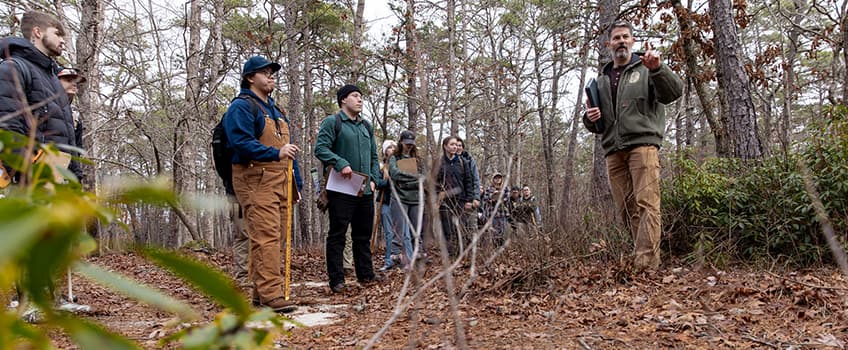 Forest Managers