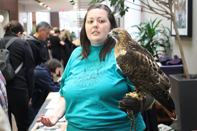 woman holding bird