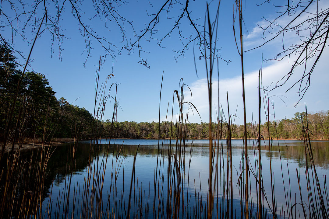 Lake Pam