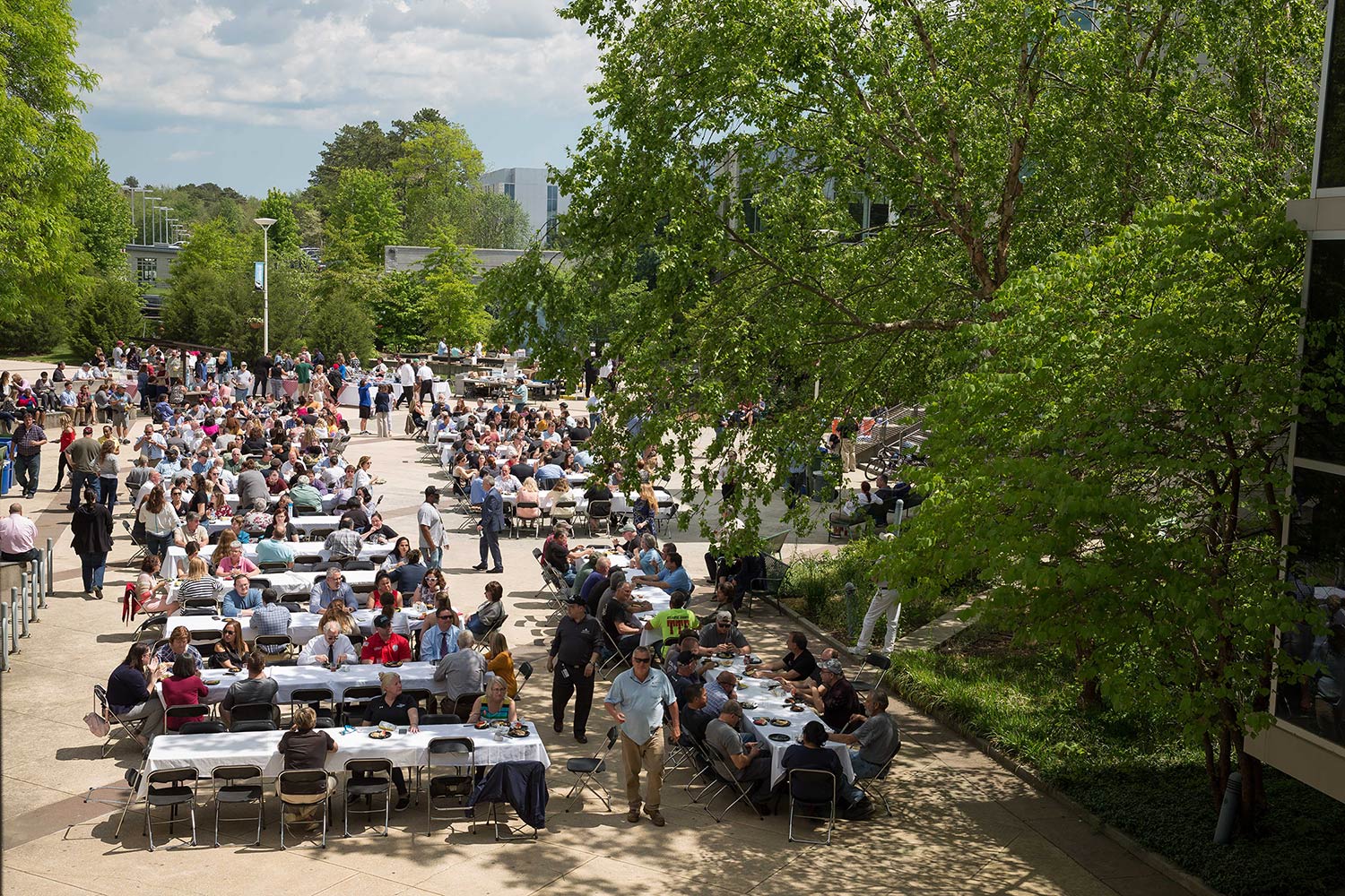 Employees at barbecue