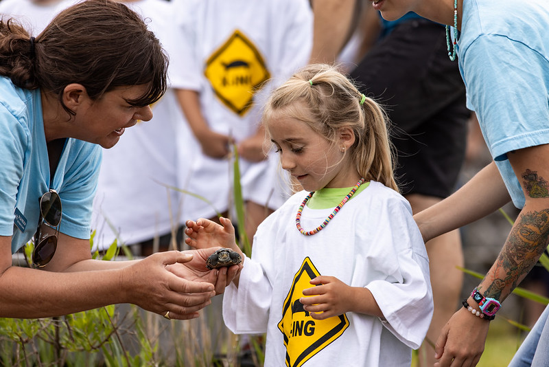 Little girl with terrapin 