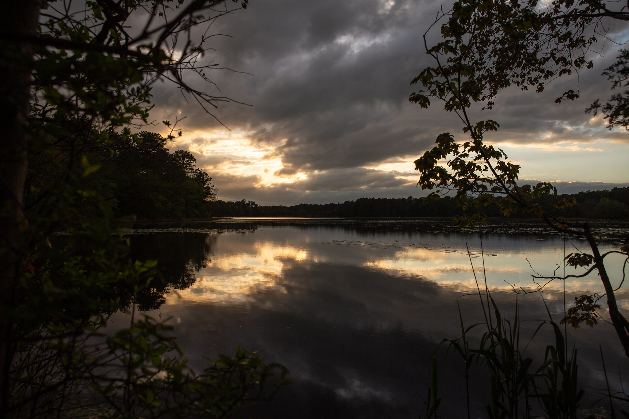 Lake Fred