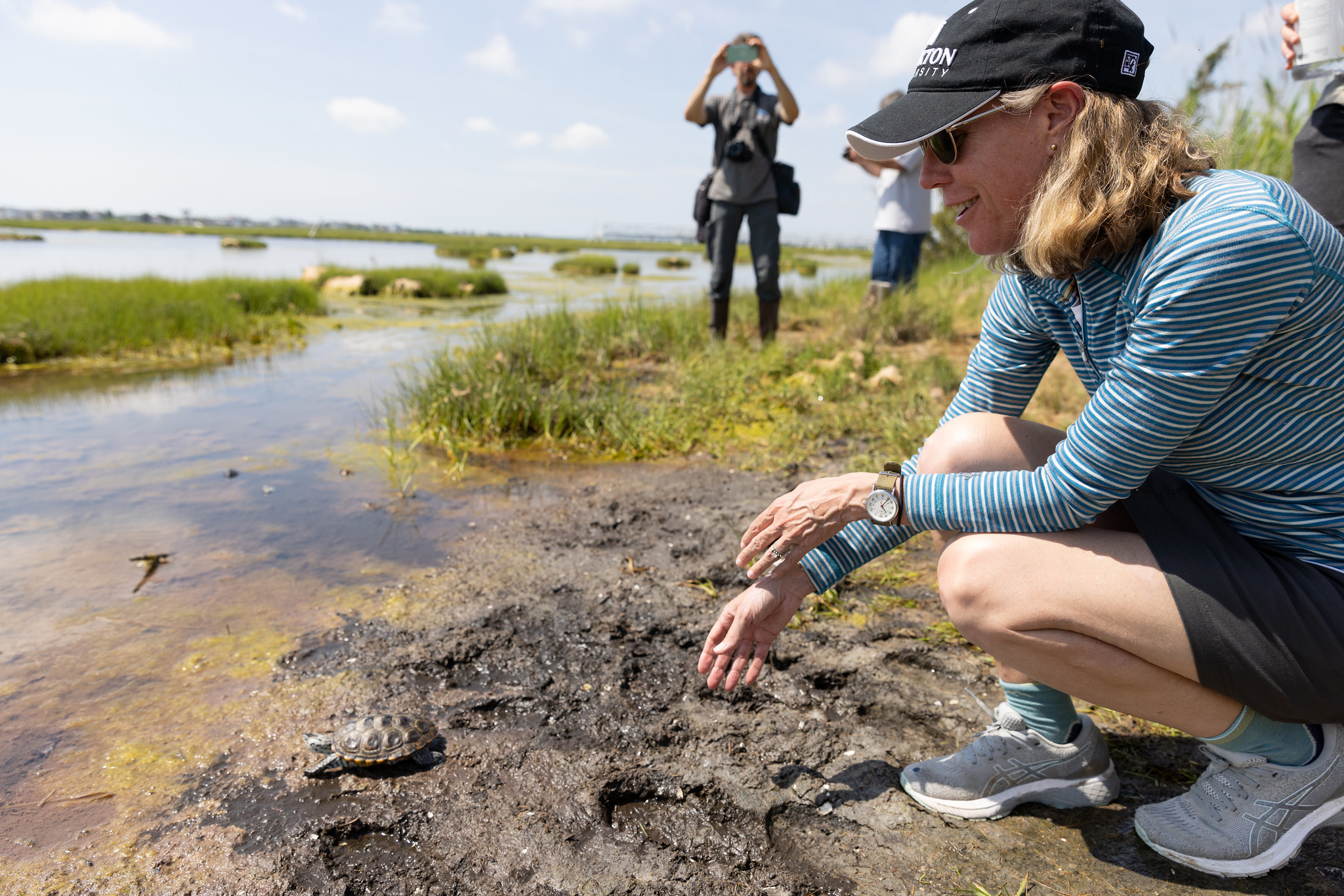 woman releasing terrapin back to marsh 