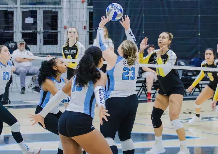 volleyball team volleyball team