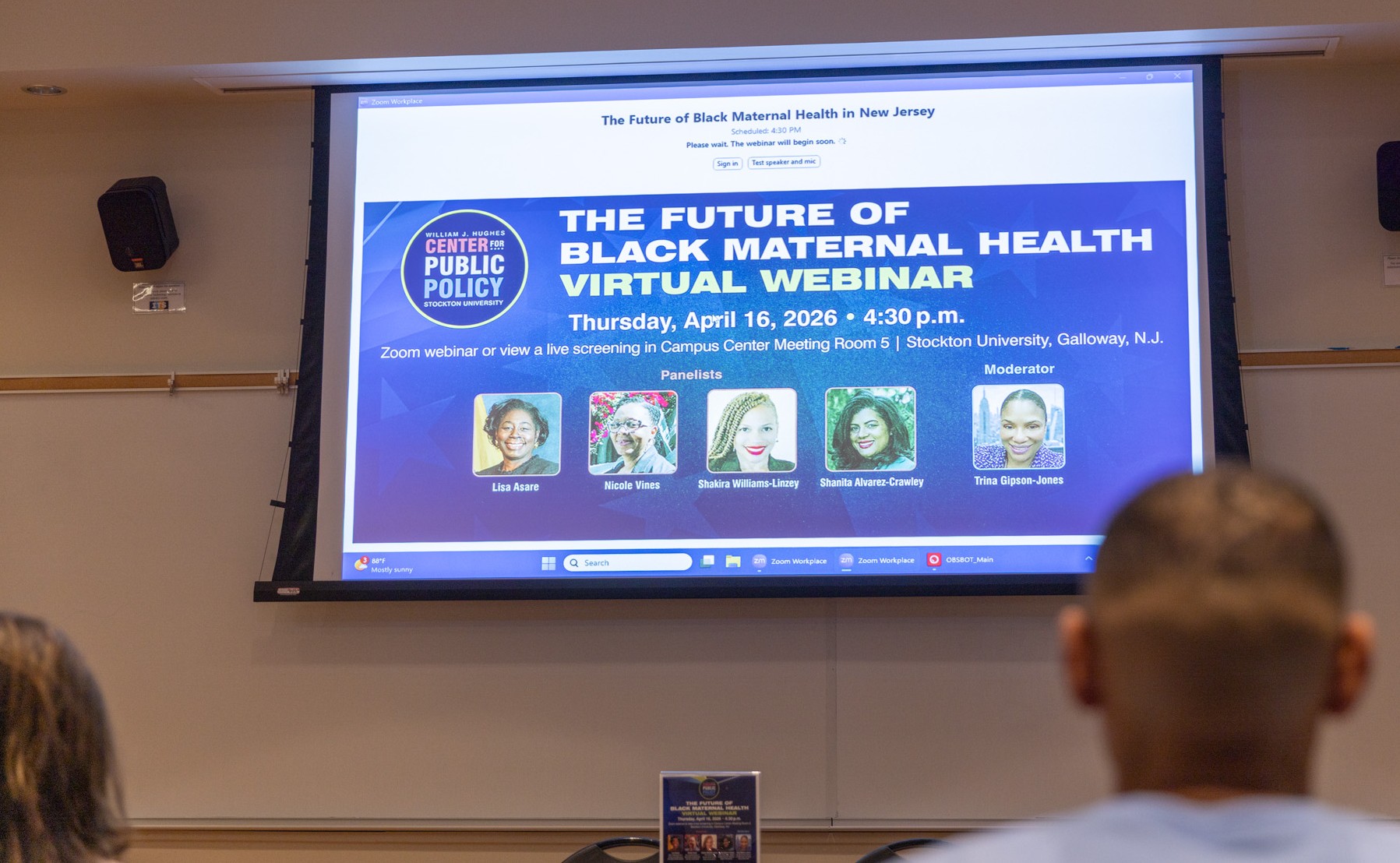 maternal health panel