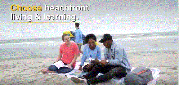 three students sitting on towel reading books at beach