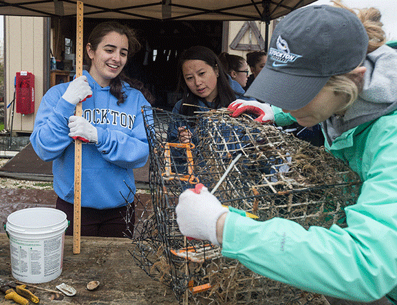 crab pot