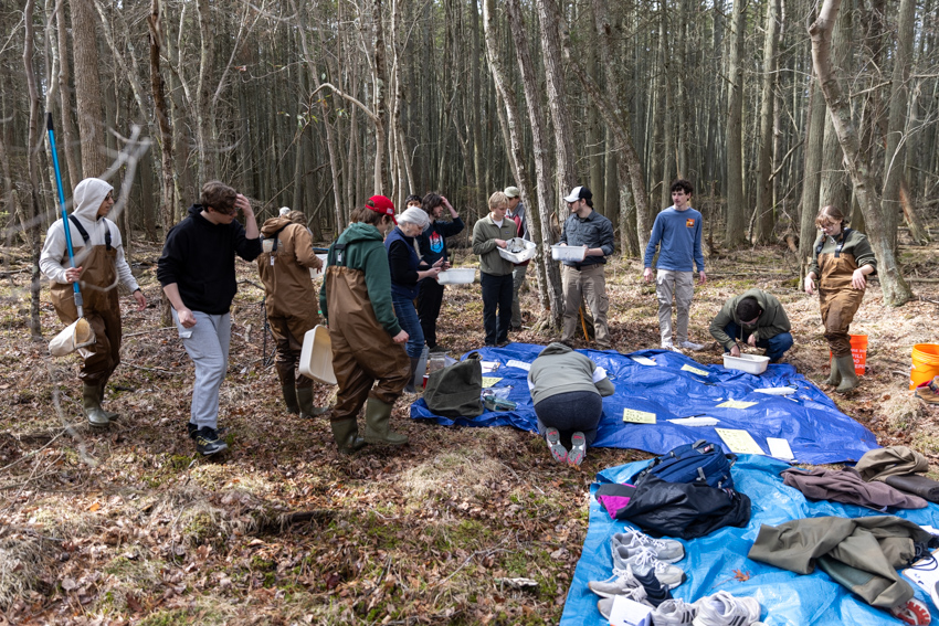students walking in woods 