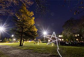 A cedar tree with a spotlight