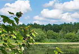 Photo of Lake Fred