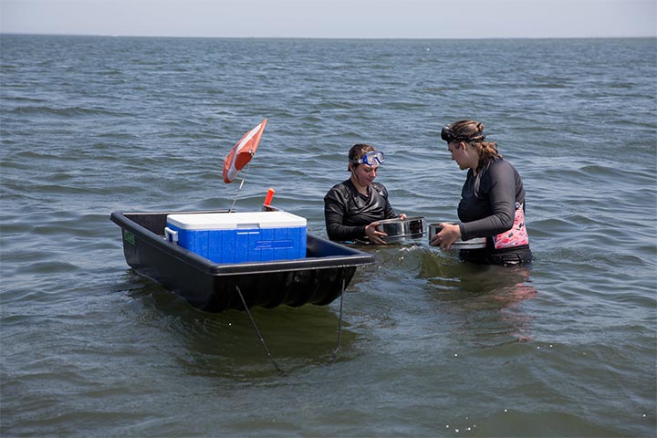 Students studying in ocean