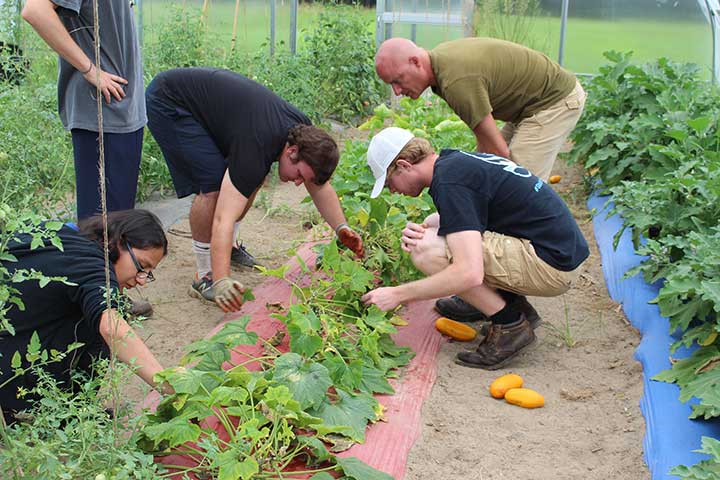 Students on farm