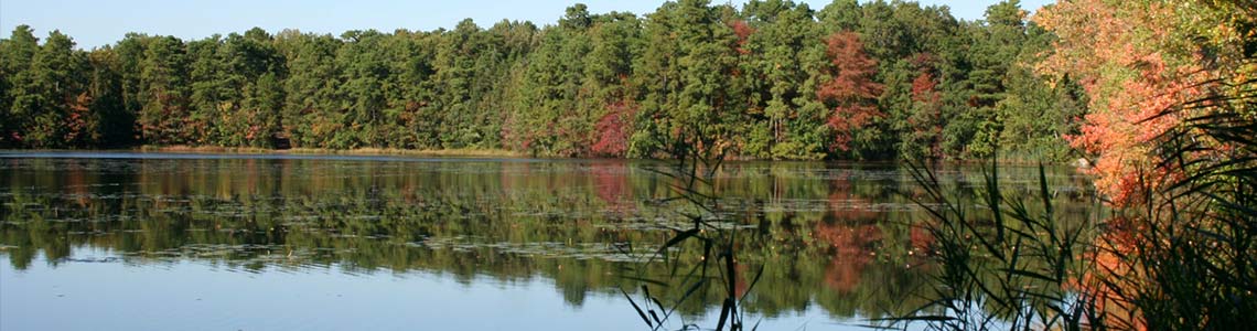 Lake Fred