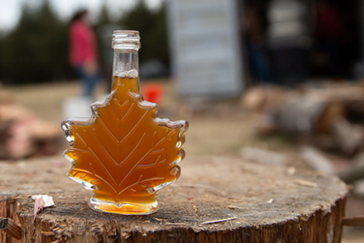 maple syrup