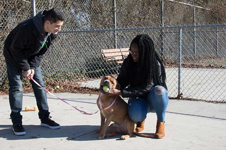 Students at animal shelter