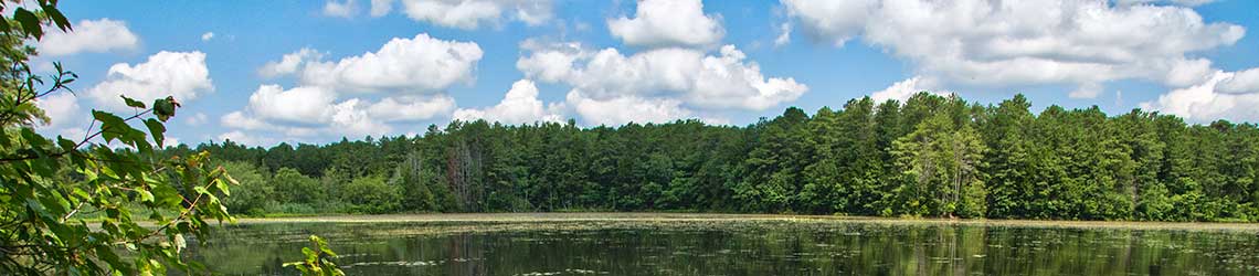 Photo of Lake Fred in Summer