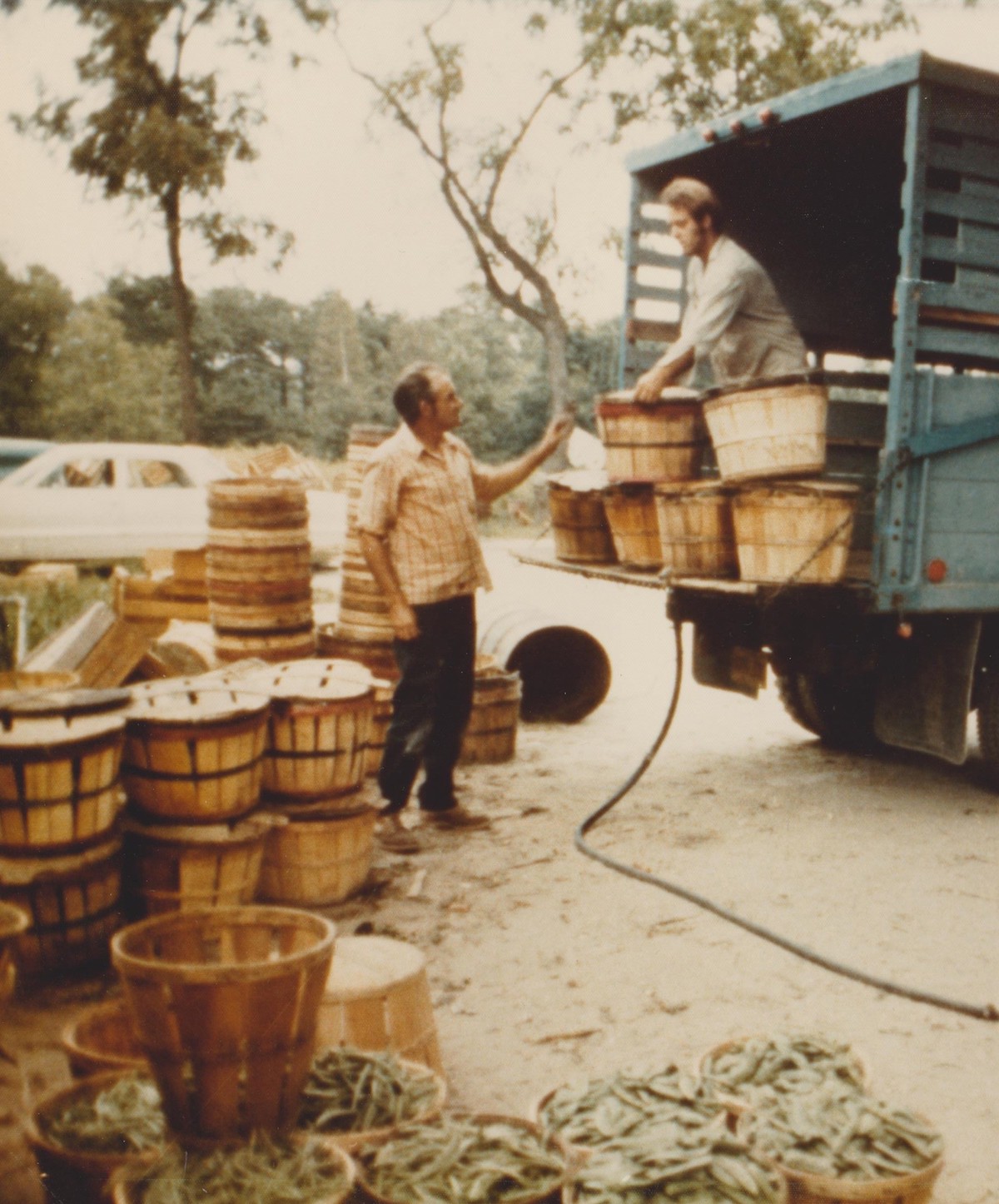 Loading Leonard's truck with crops.