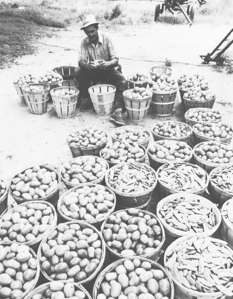 Leonard with various crops.