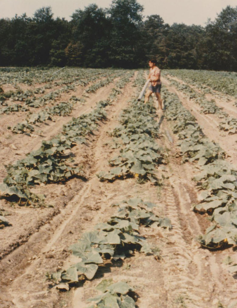 Moving irrigation on the farm.