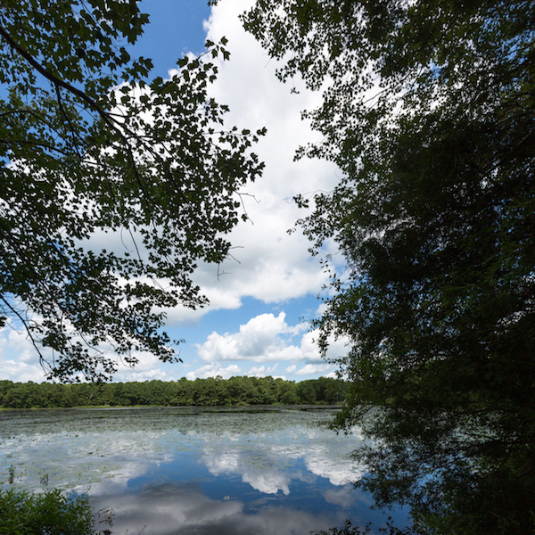 View of Lake Fred looking from the mill site.