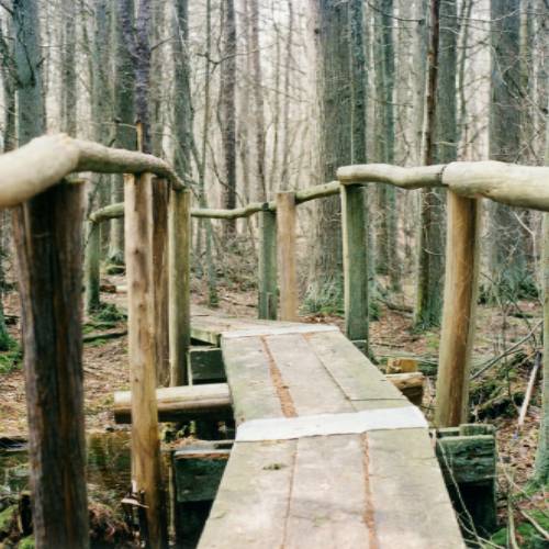 Ceder Bog Bridge