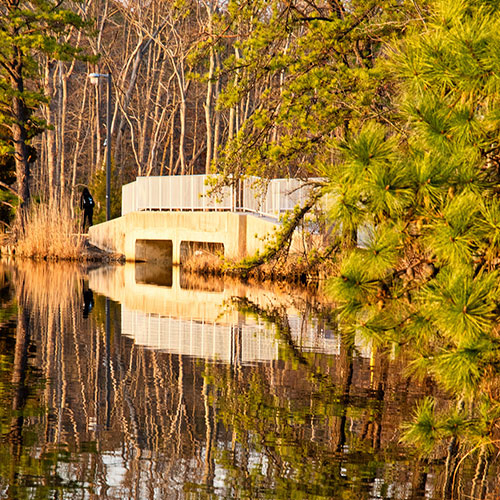 bridege on Lake Fred