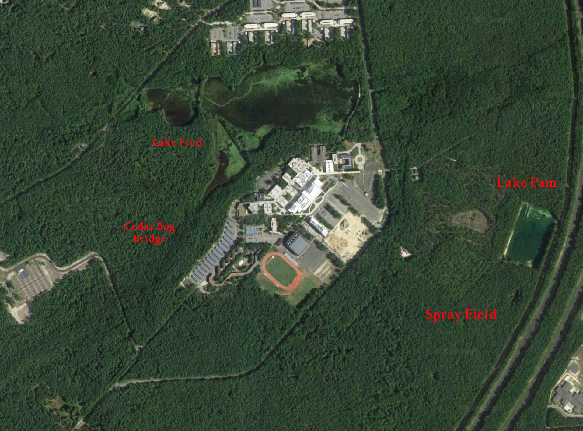 Figure 1. A recent satellite photograph of the Stockton Campus. Lake Pam, with the Spray Field adjacent (see the grid pattern that remains in the forest), are to the east (right), near the Garden State Parkway.